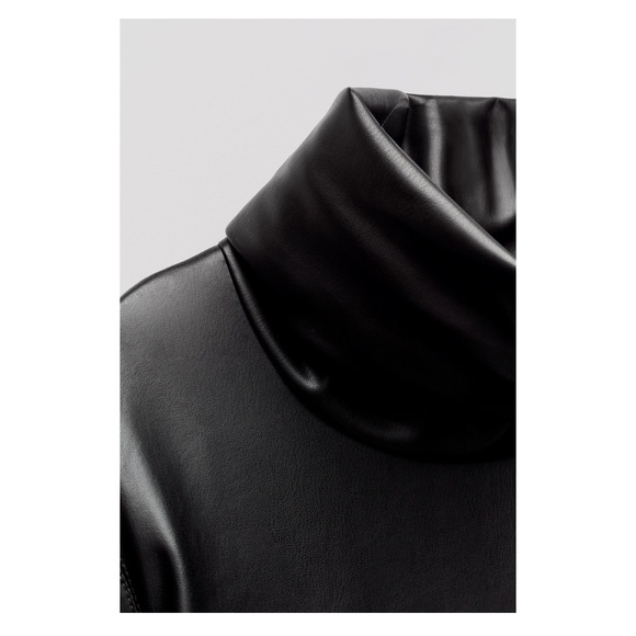 Zara High Collar Minj Dress - Picture 6 of 6